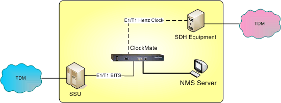 Convert BITS to Hertz Clock